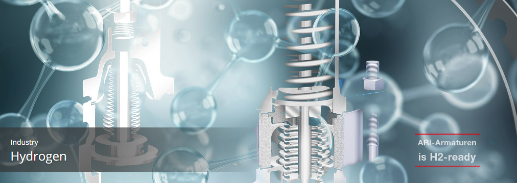 ARI氫能源應用閥